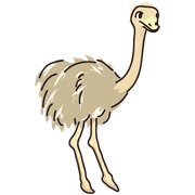 ダチョウ