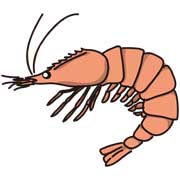 エビ