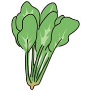 ほうれん草