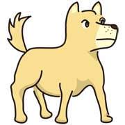 犬