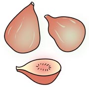 いちじく