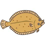カレイ