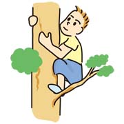 木登り