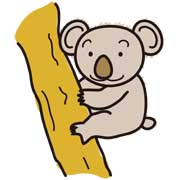コアラ