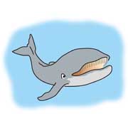 クジラ