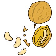 クルミ