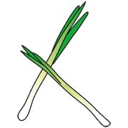 長ネギ