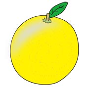 夏みかん