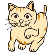 猫
