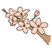 桜