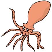 タコ