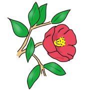 椿