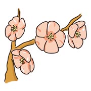 梅
