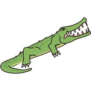 ワニ