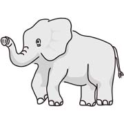 ゾウ